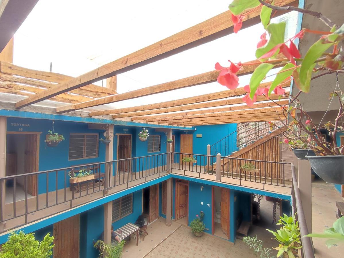 Hostal Ikal Сан-Крістобаль-де-лас-Касас Екстер'єр фото